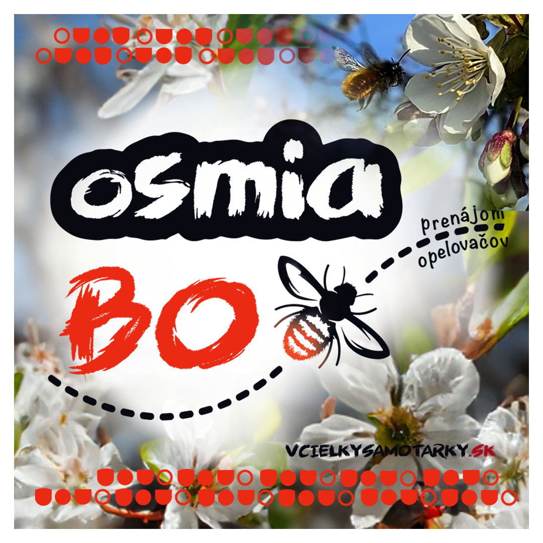 Osmia BOX