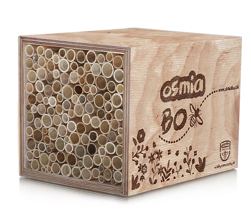 Osmia Box S - prenájom