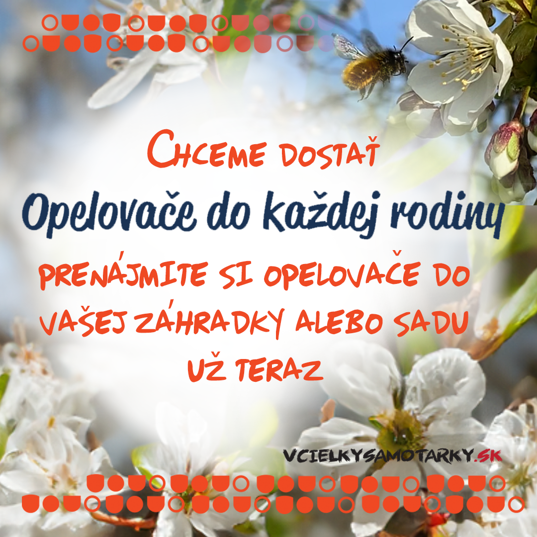 Osmia Box - PRENÁJOM