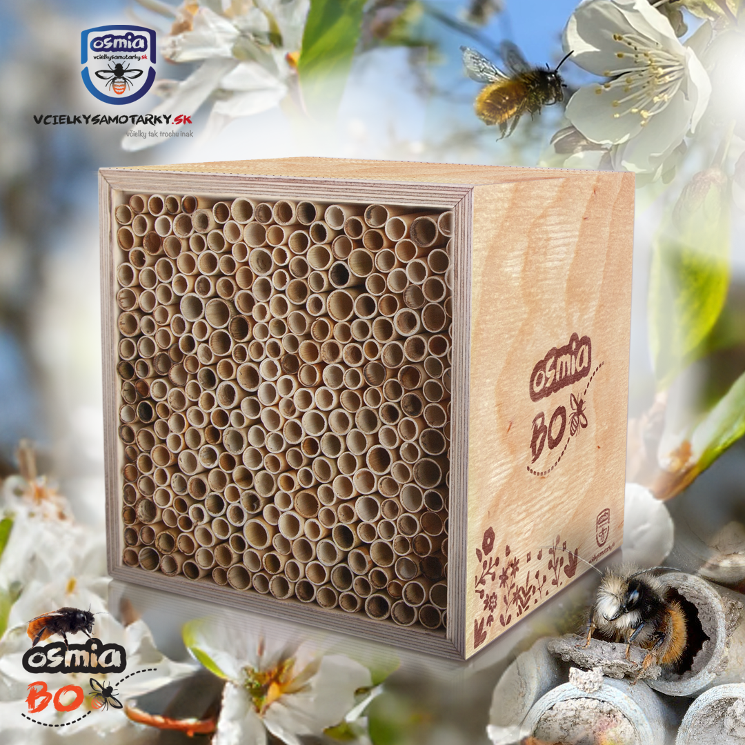 Osmia Box - PRENÁJOM