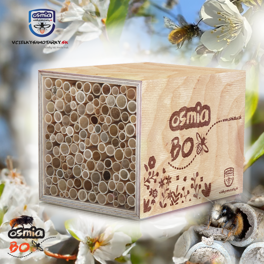Osmia Box - PRENÁJOM