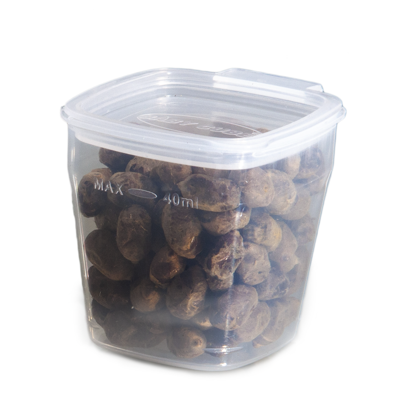 Hybernation container